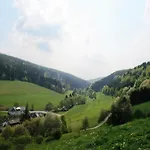 In Mit Eigenem Garten * Willingen (Upland)
