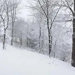 In Mit Eigenem Garten Willingen (Upland)