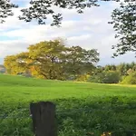 Holiday home In Mit Eigenem Garten