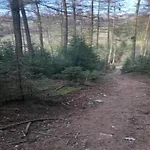 Holiday home In Mit Eigenem Garten Willingen (Upland)