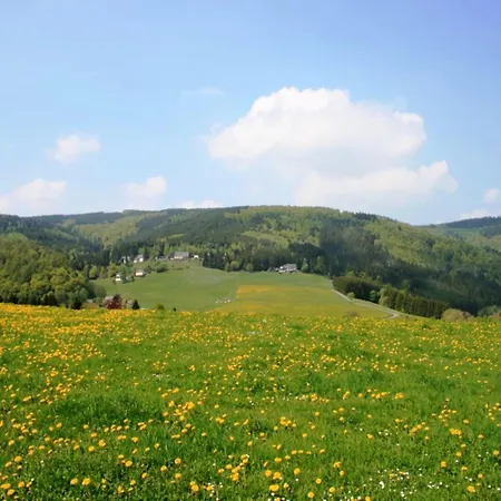Large In With Private Garden And Several Terraces Willingen (Upland)