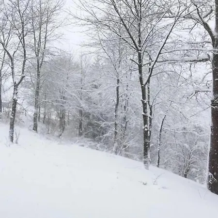In Mit Eigenem Garten 빌링겐